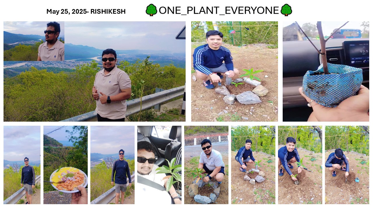 Image of forest monitoring.