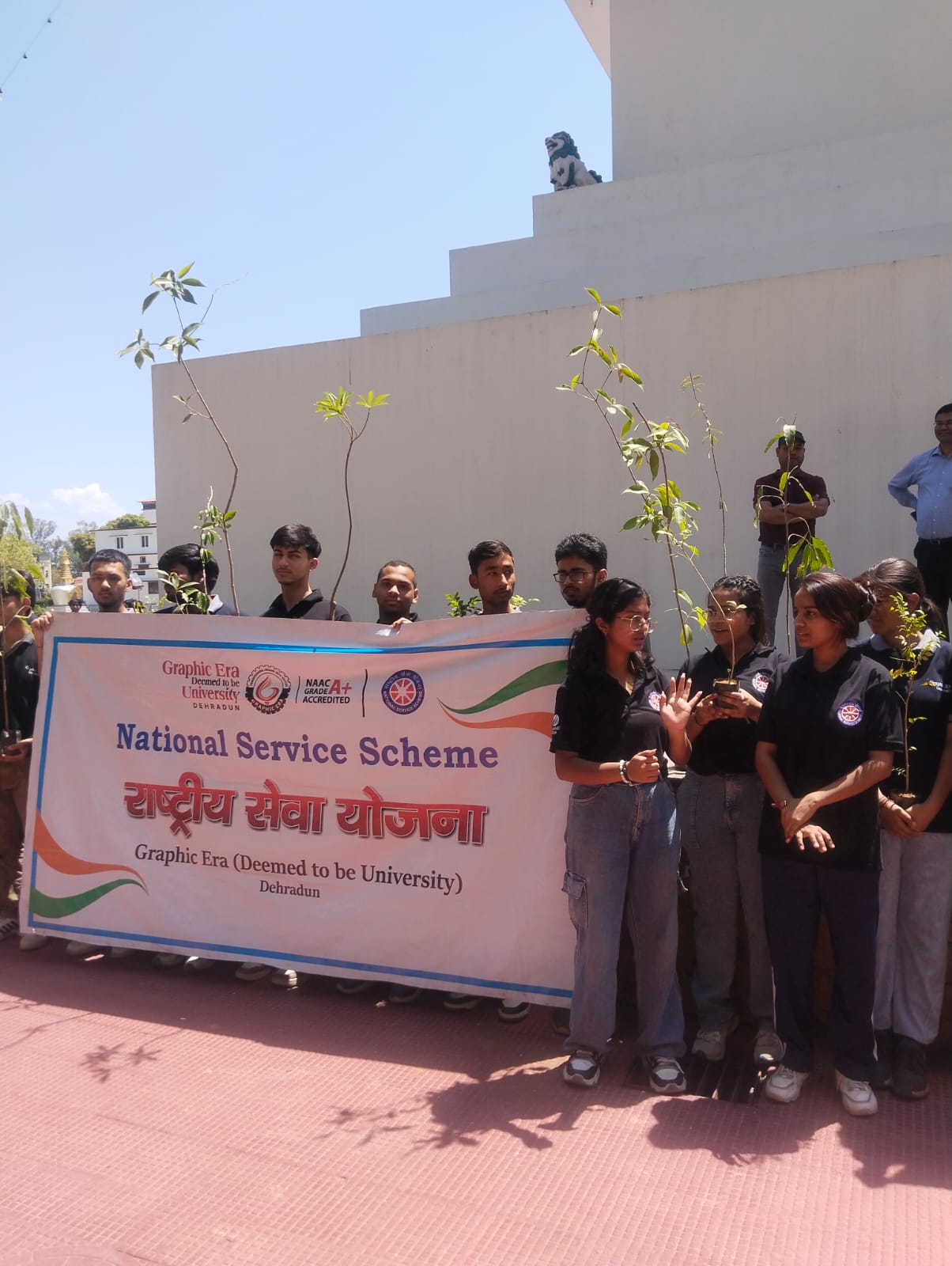 Image of a soil conservation project.