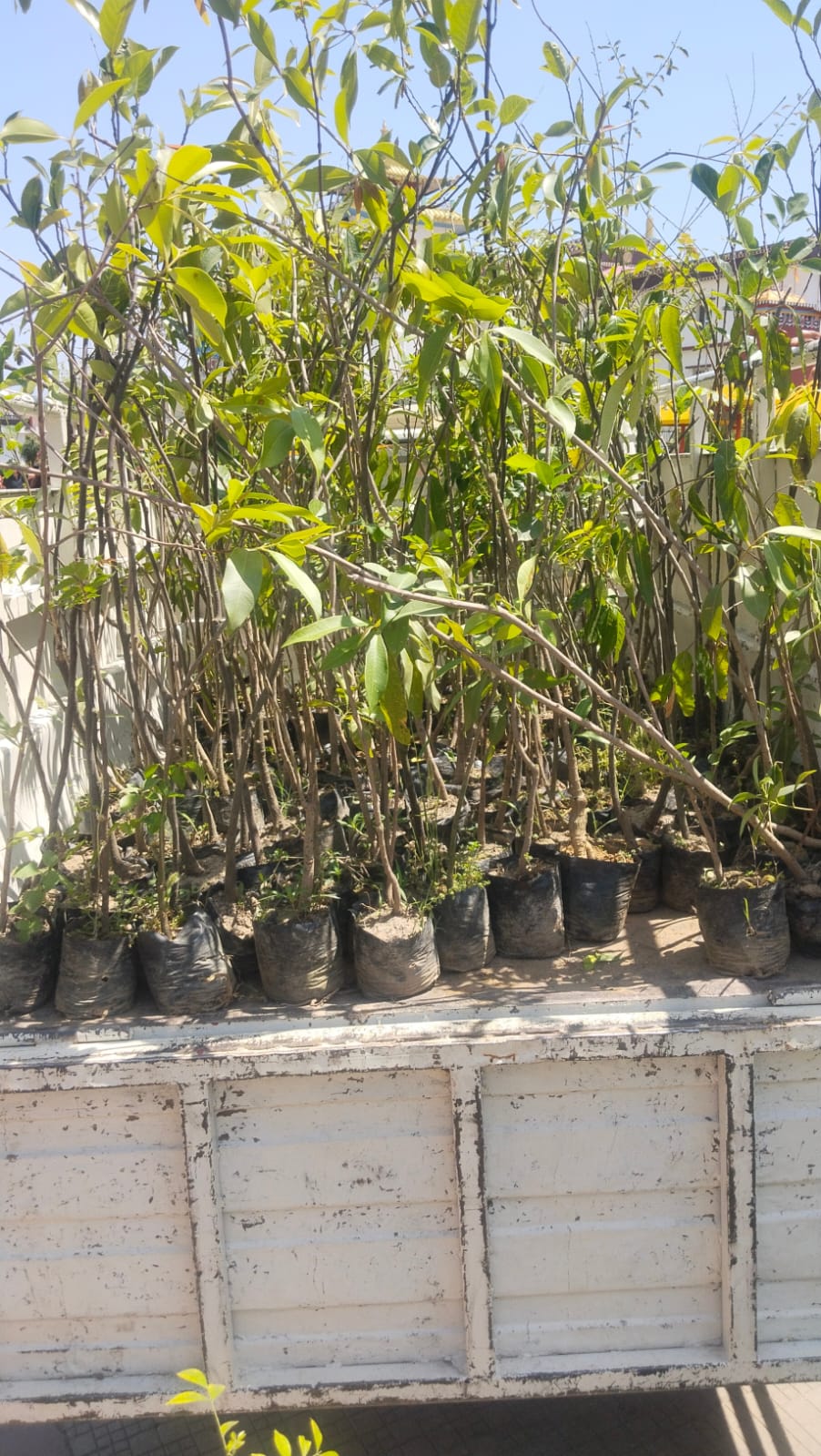 Image of a leadership camp.