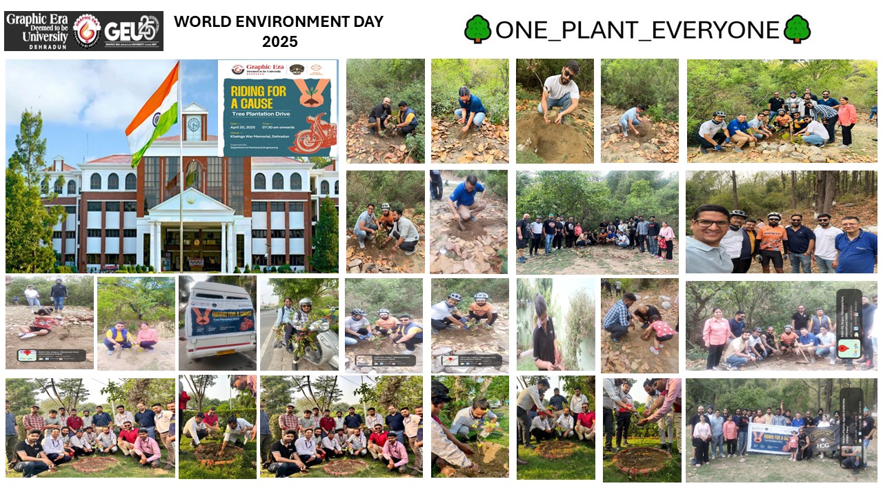 A newly restored forest area